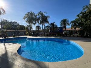 a blue swimming pool with palm trees in the background at Katherine Motel in Katherine