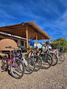 a group of bikes parked in front of a building at Tiunur Lodge in Sólor