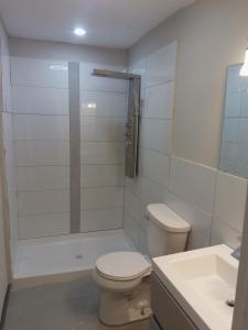 a bathroom with a toilet and a shower and a sink at Royal Retreat in Kansas City
