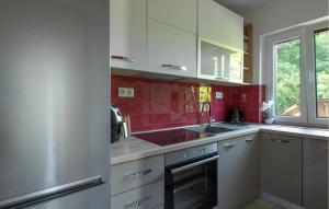 Η κουζίνα ή μικρή κουζίνα στο Nice Home In Draganic With House A Panoramic View
