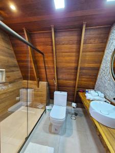 a bathroom with a toilet and a sink at Cabana Quatro Estações - Paty do Alferes - Rio de Janeiro in Paty do Alferes