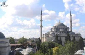 a building with two mosques with trees in front of it at Fatih Resadiye Hotel in Istanbul