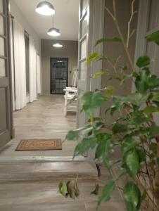 a hallway with a plant in front of a door at La Casona in Balcarce