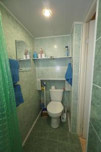 a small bathroom with a toilet and a shower at Apartments Colonnade in Kislovodsk