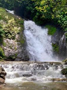 Billede fra billedgalleriet på Apartamento Iguana i Quepos