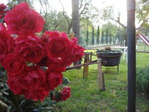 A garden outside Agriturismo La Fattoria
