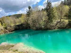 une grande étendue d'eau bleue avec des arbres en arrière-plan dans l'établissement Gartenwohnung in Hasselfelde, à Stiege 32 autres photos