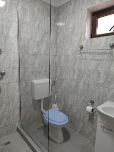 a bathroom with a toilet and a glass shower at Casa Angela in Giarmata
