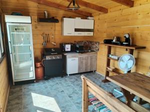 a kitchen with a refrigerator and a stove at Mountain Mirage in Mojkovac