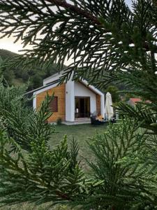 a small house is seen through the branches of a tree at Mountain Mirage in Mojkovac