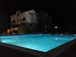 The swimming pool at or close to Villa Anna