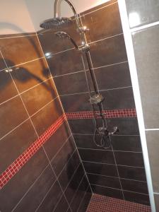 eine Dusche in einem Badezimmer mit braunen Fliesen in der Unterkunft La Mirabelle in Montazeau