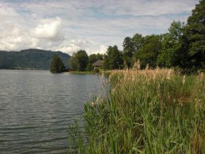 Foto dalla galleria di Sorli Pension a Bodensdorf