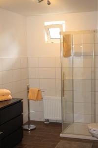ein Bad mit einer Dusche und einem WC in der Unterkunft Kleines Schmuckstück in Ermstedt