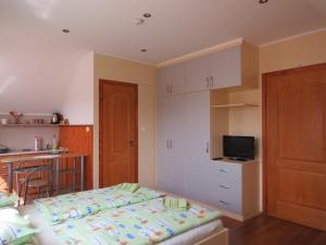 Televízia a/alebo spoločenská miestnosť v ubytovaní Aranyhal apartman