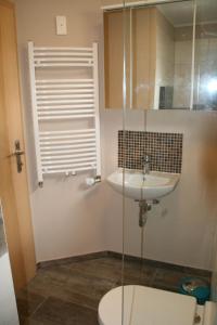 a bathroom with a sink and a toilet and a mirror at Ferienhaus in Kuehlungsborn in Kühlungsborn