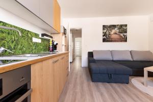 une cuisine et un salon avec un canapé dans l'établissement Apartma Seničica, à Ljubljana 7 autres photos