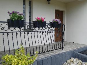 Vonkajšia záhrada v ubytovaní Apartament Hawrań Murzasichle Apartamenty Murzasichle PL