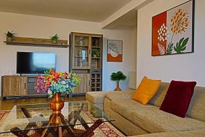 锡比乌Lilo HOME的客厅里有一张沙发和一台电视