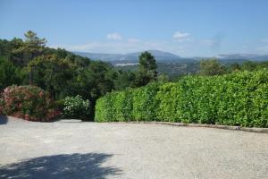 una fila de setos con árboles y montañas en el fondo en Apartment Montauroux near Lake Cassien, en Montauroux