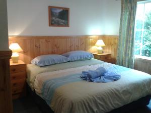 Säng eller sängar i ett rum på Sunburst Retreat