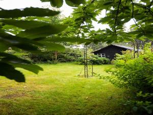 a garden with two trees in the middle of a field at Peaceful Garden Hideaway in Cerfontaine +31 photos