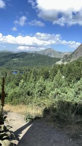 Afbeelding uit fotogalerij van Camp Danis in Plav +31 foto's