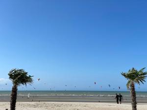 due palme su una spiaggia con persone che fanno volare gli aquiloni di Chocolat & Vanille a Koksijde