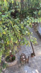 Φωτογραφία από το άλμπουμ του The Iskemleci Guest House σε Lefkosa Turk