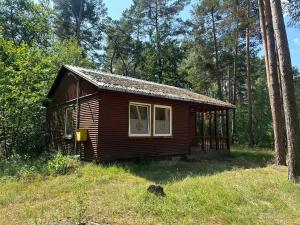 a small cabin in the middle of a forest at Cziamma Ling - ośrodek buddyjski in Wilga