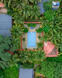 an overhead view of a resort with a swimming pool and palm trees at White Truffle Resort, Arambol in Arambol