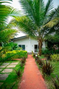 a house with a palm tree and a red pathway at White Truffle Resort, Arambol in Arambol