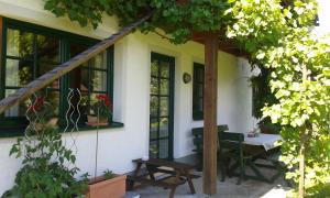 Zahrada ubytování Ferienwohnung Am Pflanzgarten