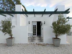 a white house with two trees in pots at Bij De Graaff in Graaff-Reinet