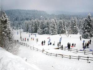 a group of people on a ski slope in the snow at Welcoming bungalows in Neustadt in Neustadt/Harz