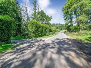 an empty road with trees on either side at Scenic chalet in Vieuxville with terrace in Vieuxville +29 photos