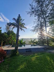 a palm tree sitting next to a swimming pool at Casa Manta Mountain home, pool, bonfire, camping in Ablayan +91 photos