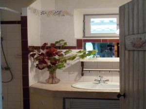 a bathroom with a sink and a vase of flowers at Charming Cottage in Oppède amidst Vineyards in Maubec