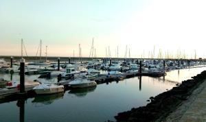a bunch of boats are docked in a harbor at Casa Almirante Reis - Perfect Location & Rooftop in Olhão
