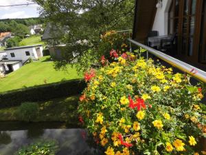 a bunch of flowers on the balcony of a house at Cosy apartment with private garden in Brachthausen in the Sauerland in Brachthausen +43 photos