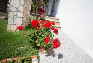 Vonkajšia záhrada v ubytovaní Apartment Ivan 2