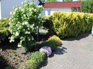 Zahrada ubytování Comfortable Apartment near Seabeach in Rerik + 82 fotografií