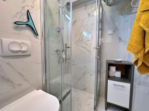 une salle de bain avec une douche en verre et des toilettes dans l'établissement Apartments Zlatica, à Šilo 53 autres photos