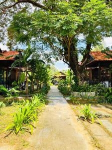 Un camino de tierra con un árbol y algunos edificios. en Densy Khmer Homestay, en Siem Reap