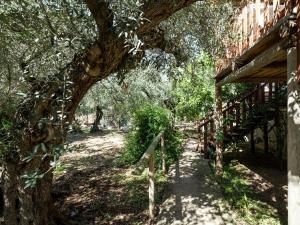 a wooden fence and a tree next to a house at Holiday Home in Sciacca with Garden, Swimming Pool, Parking in Cartabubbo +20 photos