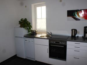 Η κουζίνα ή μικρή κουζίνα στο Cosy Apartment in Weißig with Garden +157 φωτογραφίες