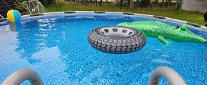una grande piscina con uno pneumatico e un dinosauro sopra di San Escobar Dziwnówek a Dziwnówek