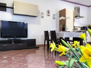 a living room with a television and a table with chairs at Apartment house Seeperle, Sommersdorf in Sommersdorf