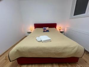 a bedroom with a bed with two lamps on two tables at Casa Lupu in Platoneşti