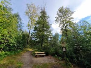 a picnic table in the middle of a dirt road at Holiday homes in the Schierke Harzresort, Schierke in Schierke +30 photos
